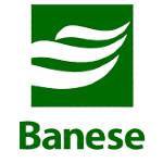 Logo BANCO BANESE