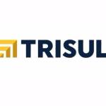Logo TRISUL