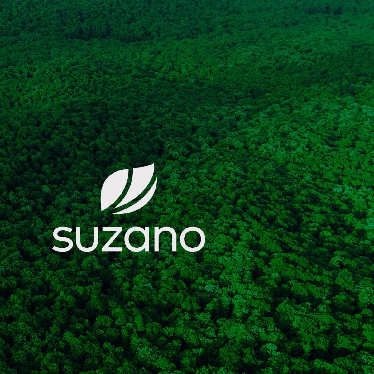 Suzano trabalha na plantação de eucalipto para produção de celulose e papel. Foto: Reprodução/Facebook
