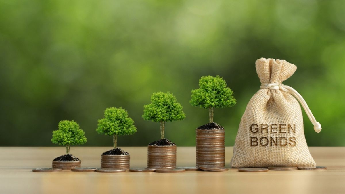 Tesouro espera captar cerca de US$ 2 bilhões com green bonds. Foto: Shutterstock