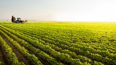 Fiagro direciona investimentos para o agronegócio (Shutterstock)