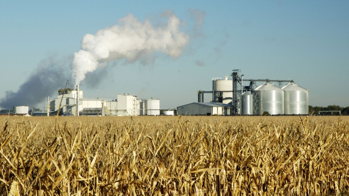 Fábrica de produção de etanol, por meio do milho (Shutterstock)