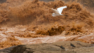 O rompimento da barragem de Fundão é considerado o maior desastre ambiental do Brasil (Shutterstock)