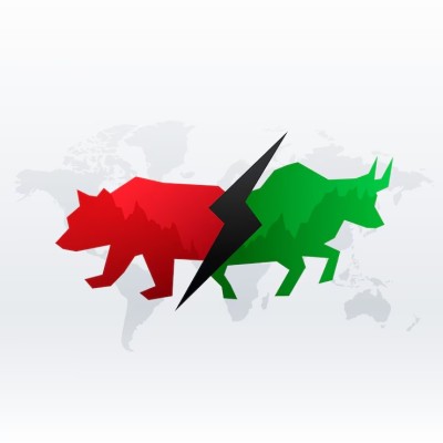 Bull e bear market: veja o que isso significa no mercado de ações