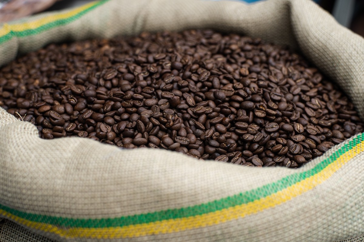 Consumo de café foi de 6 kilos por pessoa em 2023. Foto: Shutterstock