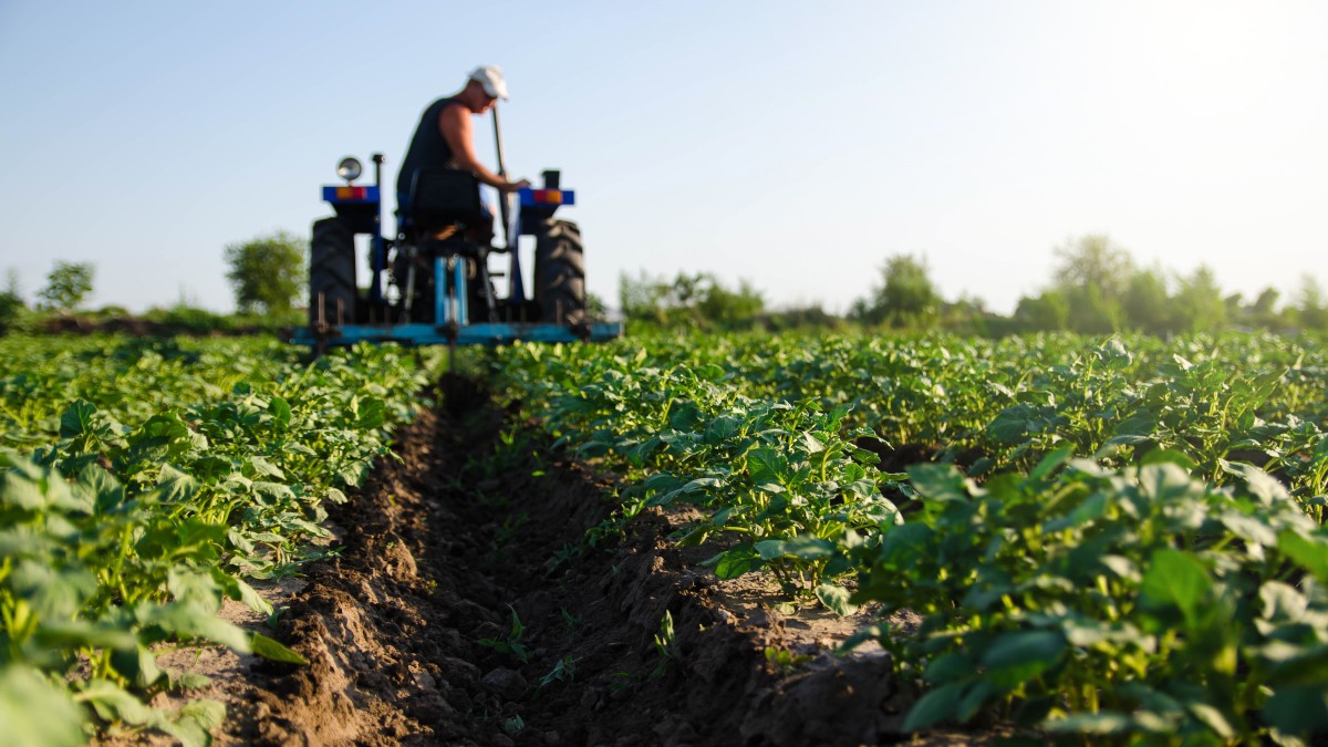 AgroGalaxy desembolsará quase R$ 30 milhões (Imagem: Shutterstock)