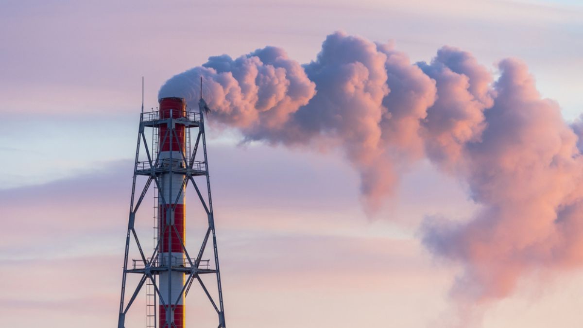 Segundo Eneva, negócio pode trazer "fluxo de caixa robusto" (Imagem: Shutterstock)