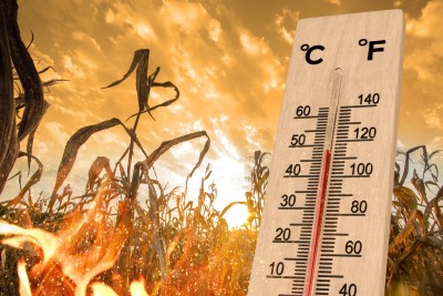 Temperaturas podem passar de 40º nos próximos dias (Imagem: Shutterstock)