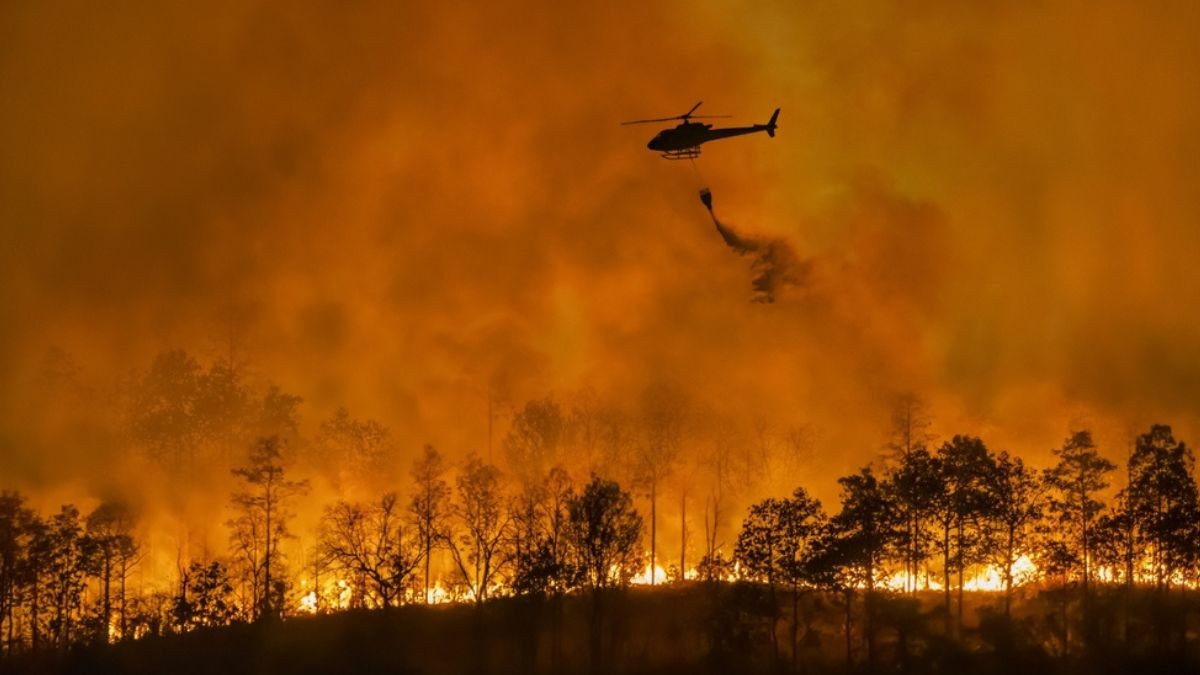 BC se reunirá na próxima semana para decidir Selic (Imagem: Shutterstock)