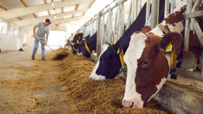 Minerva Foods pagou R$ 7,5 bi por 16 fábricas de carne bovina (Imagem: Shutterstock)