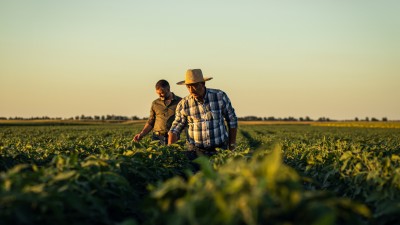 Ações da SLC Agrícola estão entre as recomendações de compra (Imagem: Shutterstock)