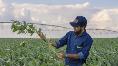 Último trimestre de 2024 pode se beneficiar de um portfólio de pedidos de sementes de soja 38% maior (Imagem: Divulgação/Boa Safra)