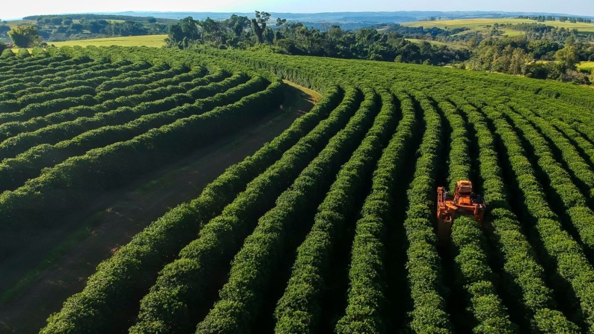 Os Fiagro-FIDC agora representam 45% do total do patrimônio (Imagem: Shutterstock)