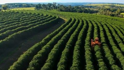 Os Fiagro-FIDC agora representam 45% do total do patrimônio (Imagem: Shutterstock)