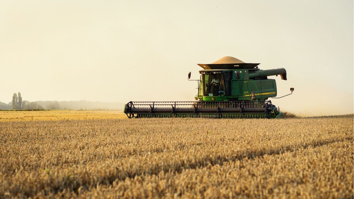 São Martinho produz açúcar e etanol (Imagem: Shutterstock) São Martinho produz açúcar e etanol (Imagem: Shutterstock)