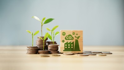 Anbima comenta como o mercado financeiro local deve abraçar os créditos de carbono (Imagem: Shutterstock)