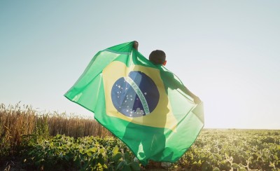 Saiba tudo sobre as 20 maiores empresas listadas na B3!