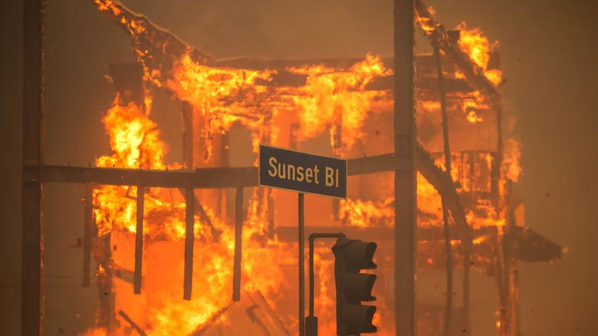 Os incêndios florestais já queimaram mais de 27.000 acres (Imagem: Getty Images)