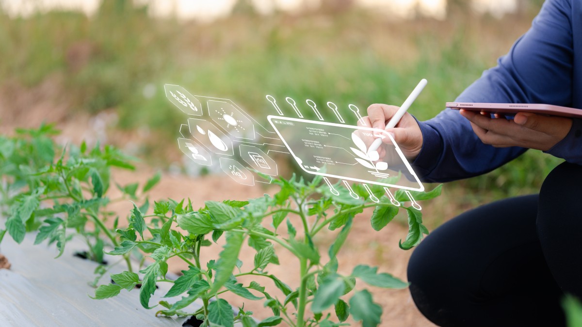 AgroGalaxy enfrenta recuperação judicial por conta do descasamento nos preços das commodities e juros elevados (Imagem: Shutterstock)