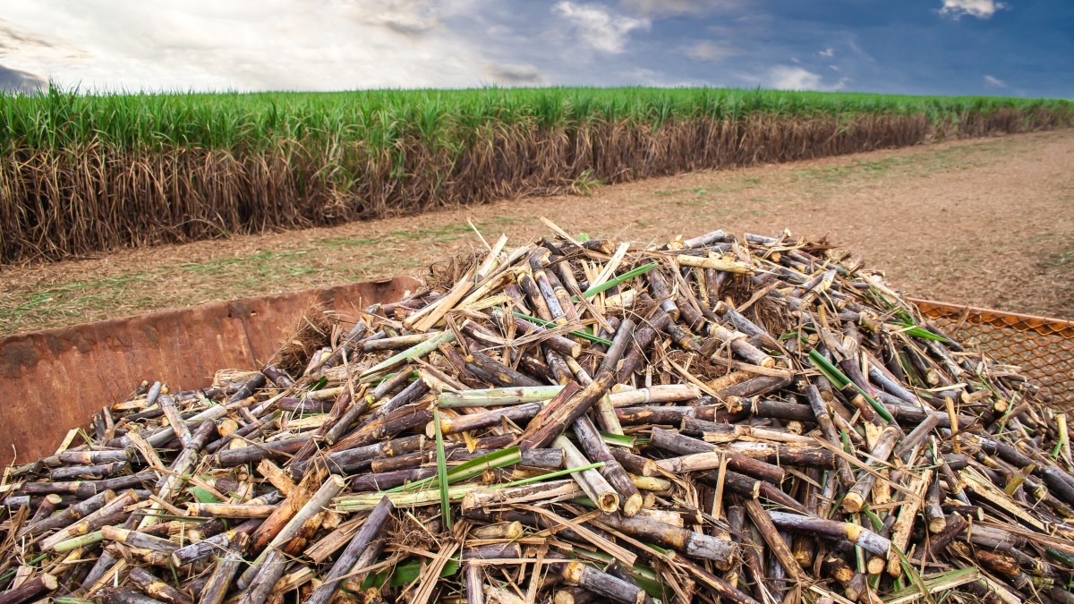 O consumo de capital de giro da Raízen explode no último trimestre de 2024 (Imagem: Shutterstock)