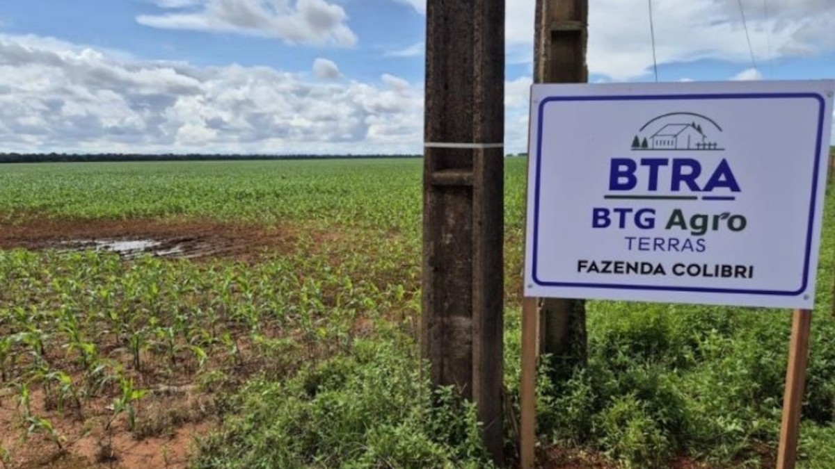 Cotas do FII BTRA11 fecham no positivo após anúncio da recuperação da fazenda (Imagem: Divulgação)