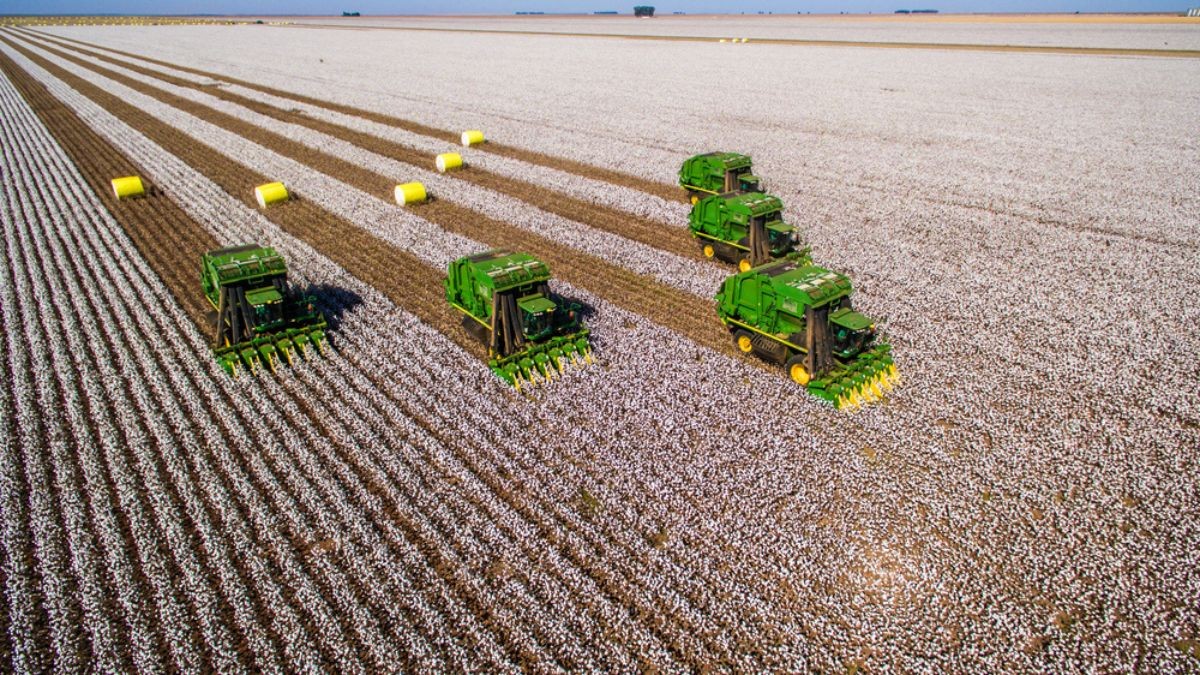 Por volta das 10h40 desta quinta-feira, os papéis da SLC Agrícola registravam alta de 3,1% (Imagem: Shutterstock)