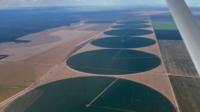 BrasilAgro reduz estimativa de produção na safra de 403,9 mil toneladas para 378,9 mil toneladas (Imagem: Reprodução/LinkedIn)