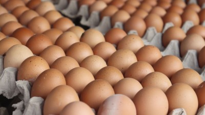 O movimento acontece logo após a conclusão da aquisição da norte-americana Hillandale Farms (Imagem: Shutterstock)