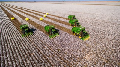 Segundo BC, crescimento trimestral foi puxado pela agropecuária (Imagem: Shutterstock)