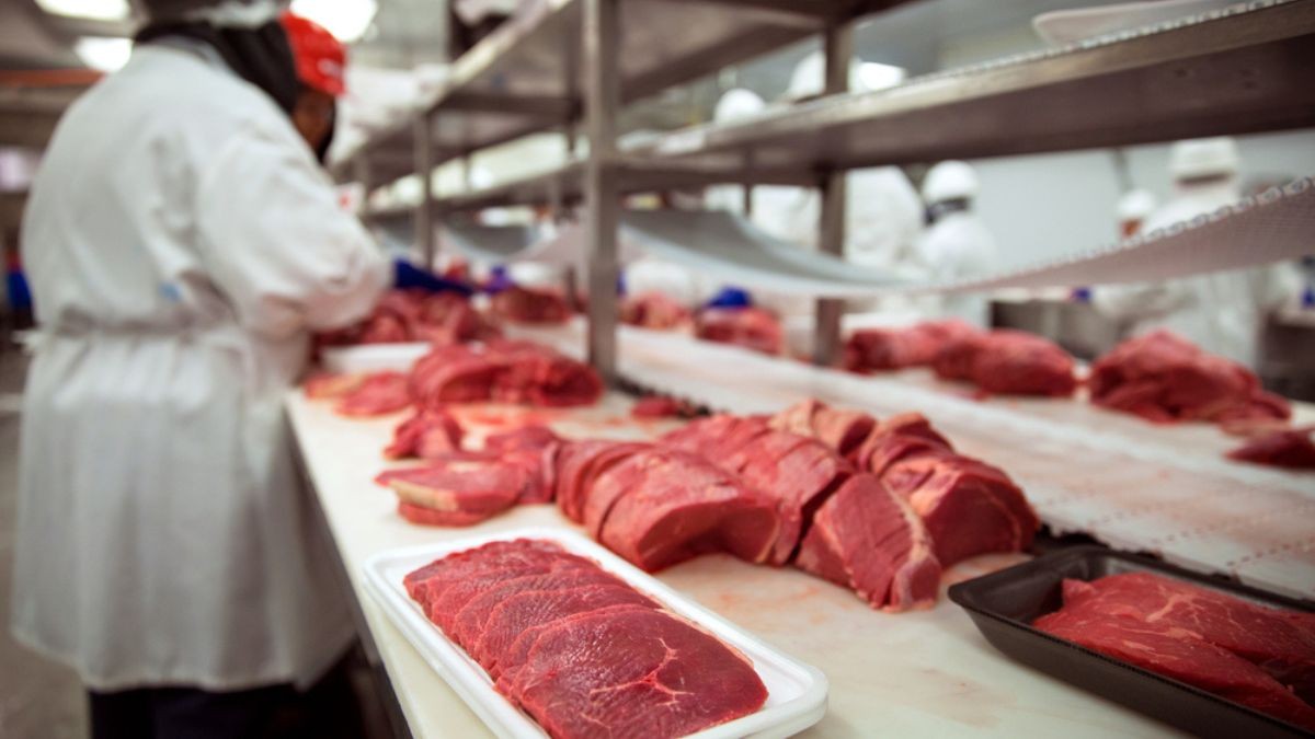 Fusão deve criar a sétima maior empresa do Brasil, em faturamento (Imagem: Shutterstock)
