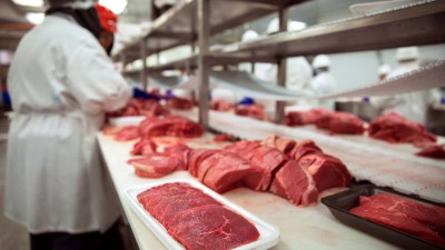 Fusão deve criar a sétima maior empresa do Brasil, em faturamento (Imagem: Shutterstock)