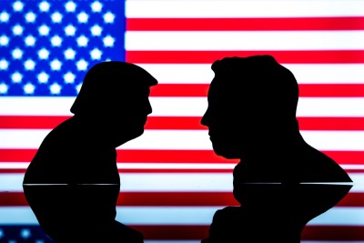 Musk foi convidado por Trump para conduzir corte nos gastos públicos (Imagem: Shutterstock)