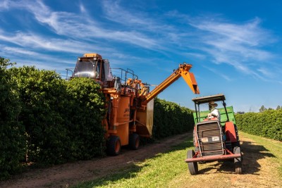 Agronegócio representa grande parte do resultado econômico anual do Brasil (Imagem: Shutterstock)