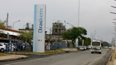 A iniciativa faz parte da estratégia da companhia para diversificar sua matriz de insumos (Imagem: Shutterstock) A iniciativa faz parte da estratégia da companhia para diversificar sua matriz de insumos (Imagem: Shutterstock)