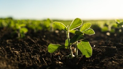 Vittia trabalha com insumos agrícolas (Imagem: Shutterstock) Vittia trabalha com insumos agrícolas (Imagem: Shutterstock)