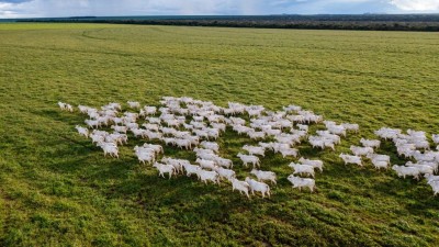 A BrasilAgro poderá receber mais do que os R$ 141 milhões inicialmente acordados (Imagem: Shutterstock)