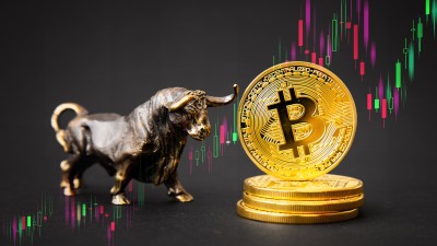 Além do Bitcoin, criptomoedas alternativas também surfam rali altista (Imagem: Shutterstock)
