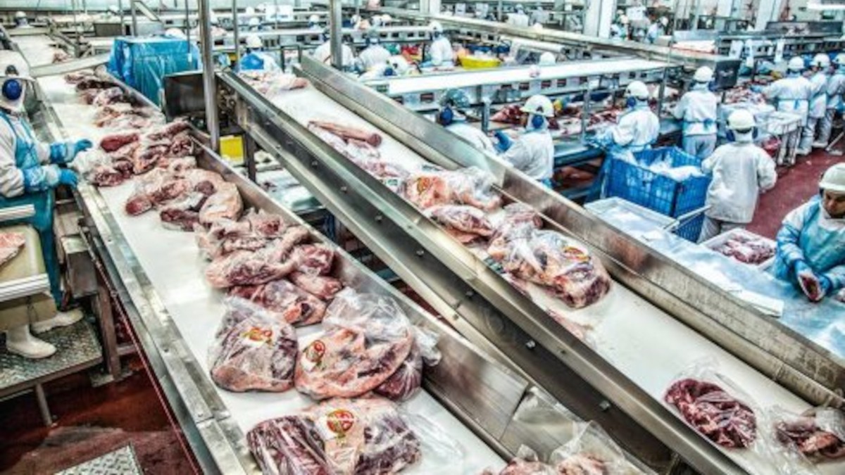 O que assusta em BEEF3 é a sua alavancagem alta em 2025 (Imagem: Divulgação)