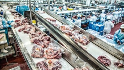 O que assusta em BEEF3 é a sua alavancagem alta em 2025 (Imagem: Divulgação)
