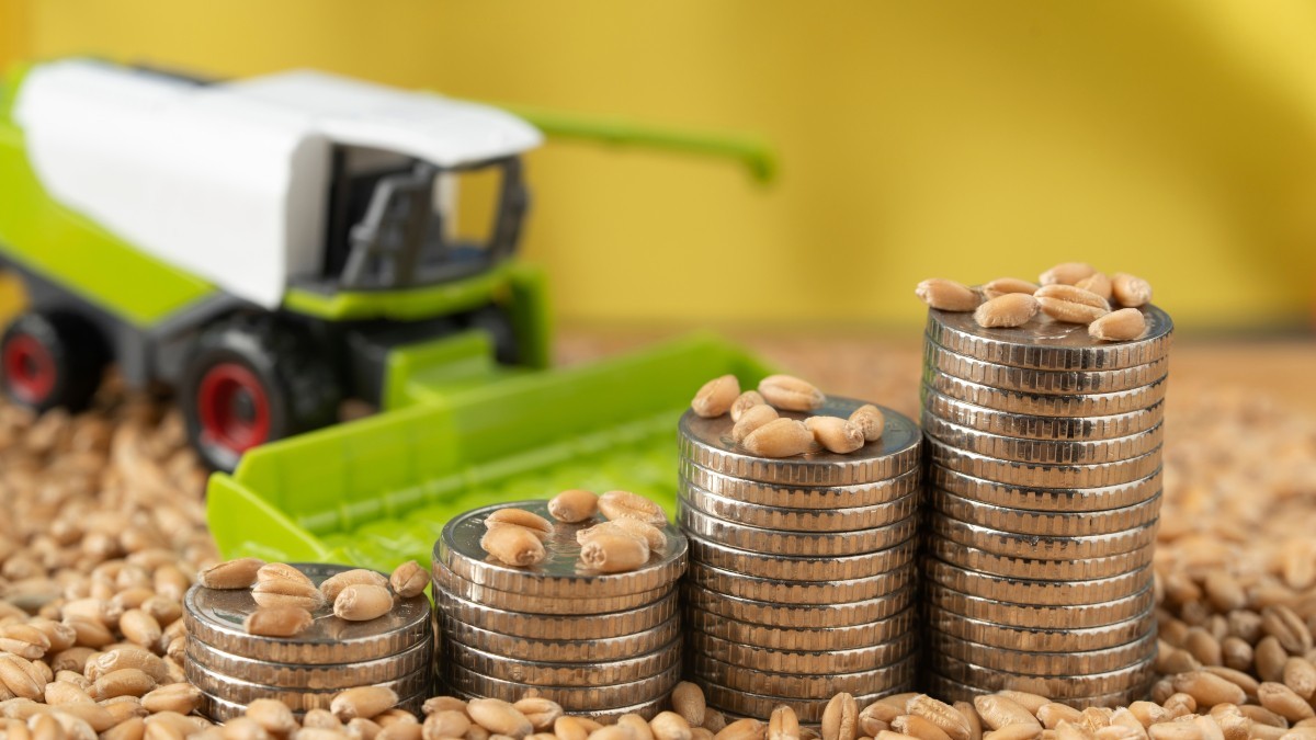 O Ebitda ajustado do 4T24/25 somou R$ 72 milhões (Imagem: Shutterstock)