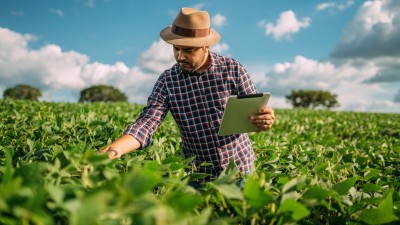 Riza Terax adquire propriedades no Maranhão, nova fronteira do agronegócio (Imagem: Shutterstock) Riza Terax adquire propriedades no Maranhão, nova fronteira do agronegócio (Imagem: Shutterstock)