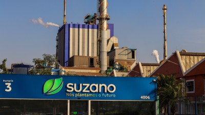 Suzano é a maior exportadora de celulose do país (Imagem: Shutterstock)