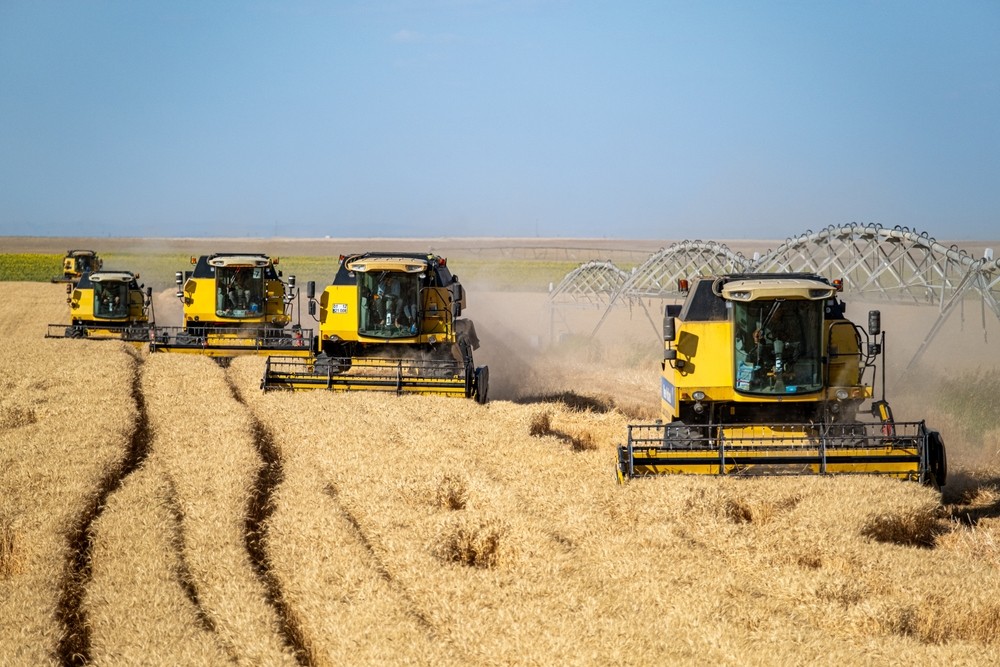 Fertilizantes são usados para aumentar a produtividade do solo e das plantações (Imagem: Shutterstock)