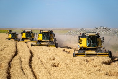 Fertilizantes são usados para aumentar a produtividade do solo e das plantações (Imagem: Shutterstock)