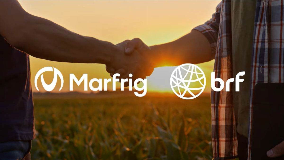 BRF e Marfrig concluíram o processo de fusão nessa 2ª feira (Imagem: Shutterstock)