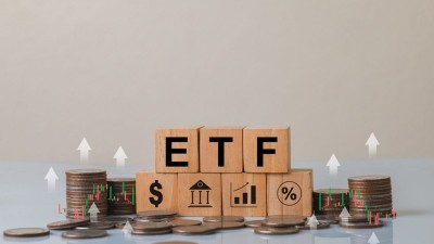 DHF está na lista (Imagem: Shutterstock) DHF está na lista (Imagem: Shutterstock)