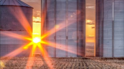 Principal diferencial entre os FIIs e o Fiagro é o seu foco no setor agropecuário (Imagem: Shutterstock) Principal diferencial entre os FIIs e o Fiagro é o seu foco no setor agropecuário (Imagem: Shutterstock)