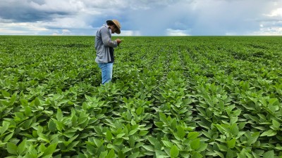 AGRO3 diversas fazendas no Brasil, além de presença no Paraguai e Bolívia (Imagem: Shutterstock) AGRO3 diversas fazendas no Brasil, além de presença no Paraguai e Bolívia (Imagem: Shutterstock)