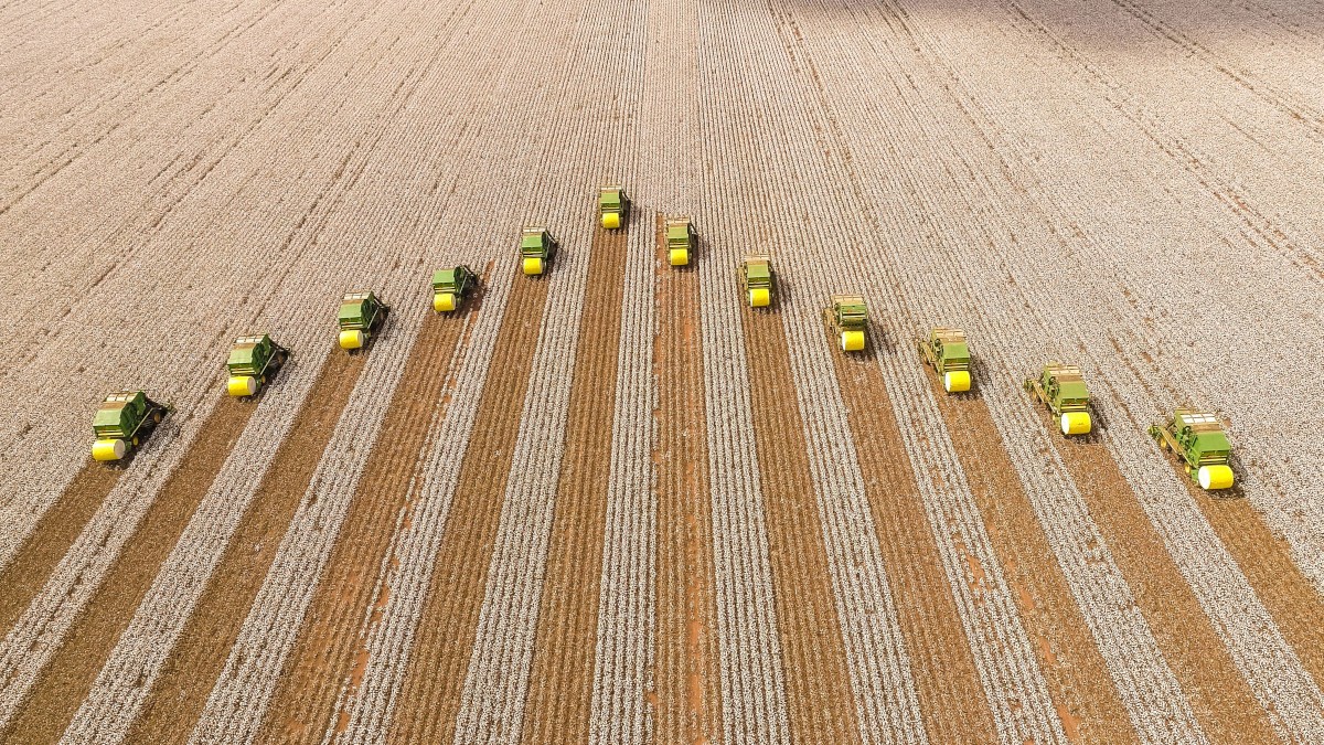 Renda fixa isenta da SLC Agrícola oferece taxa de CDI+ 0,50% ao ano (Imagem: Shutterstock)