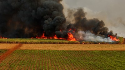 Raízen (RAIZ4) está entre os maiores descontos vistos no agronegócio (Imagem: Shutterstock) Raízen (RAIZ4) está entre os maiores descontos vistos no agronegócio (Imagem: Shutterstock)